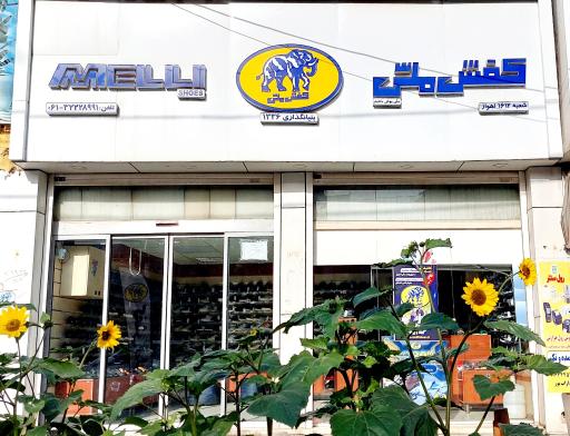 عکس فروشگاه کفش ملی 1612 اهواز