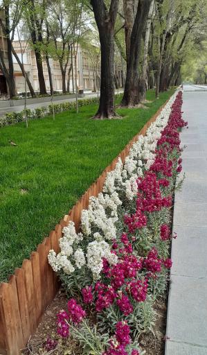 عکس پیاده راه چهارباغ 