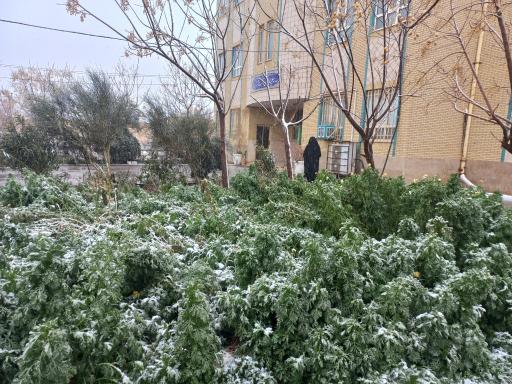 عکس مدرسه علمیه خواهران فاطمیه