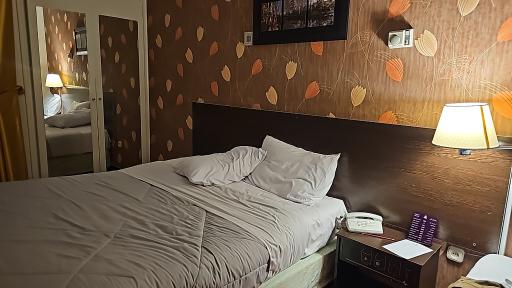 عکس هتل پارسیان