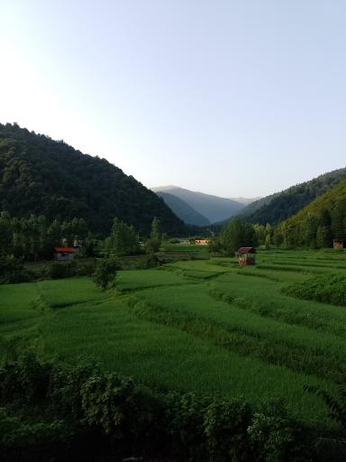 عکس شاه کلا