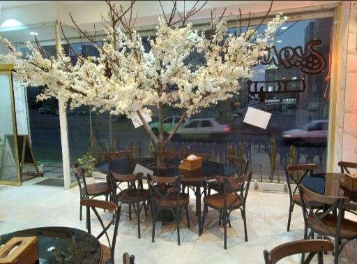 عکس فست فود ژین