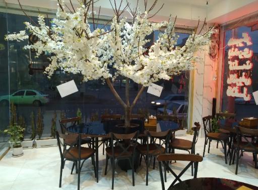 عکس فست فود ژین