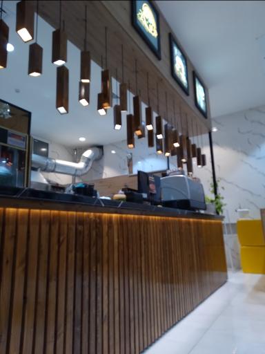 عکس فست فود ژین