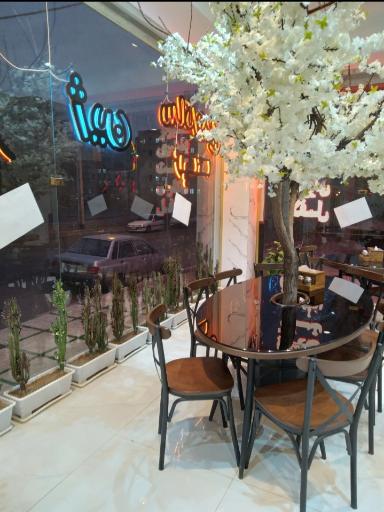 عکس فست فود ژین