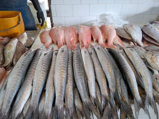 رستوران موج