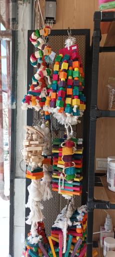 عکس ملزومات پرنده اونلی بردز