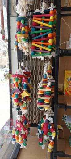 ملزومات پرنده اونلی بردز