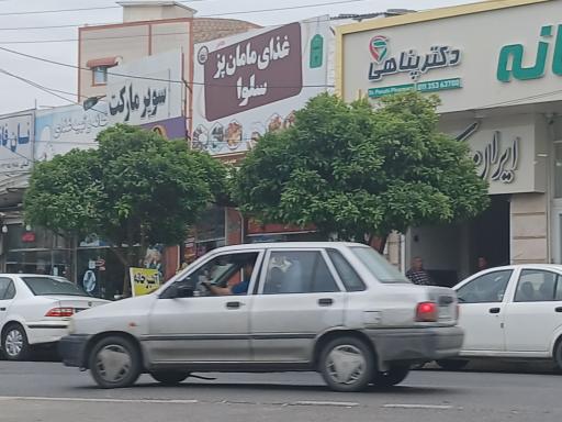 عکس غذای مامان پز سلوا