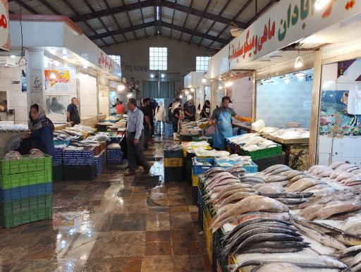 عکس بازار ماهی فروش ها