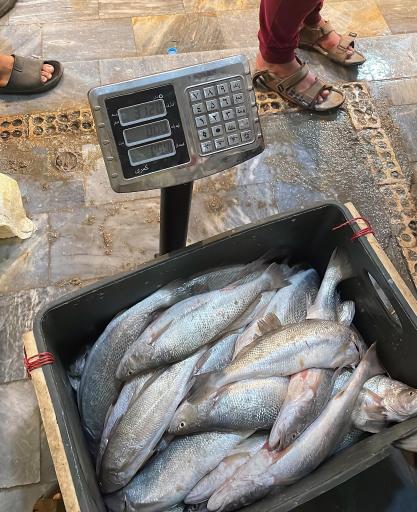 عکس بازار ماهی فروش ها