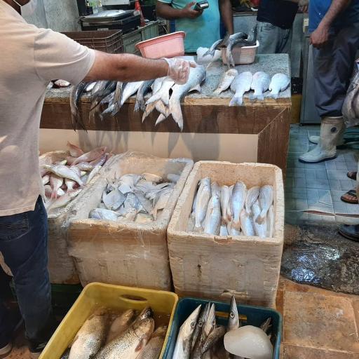عکس بازار ماهی فروش ها