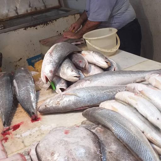 عکس بازار ماهی فروش ها