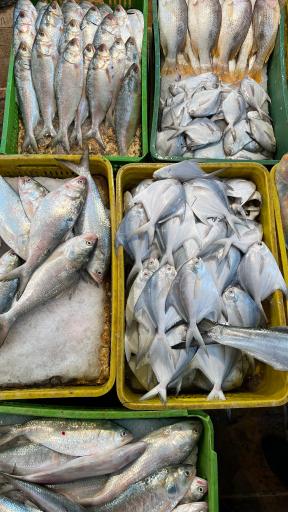 عکس بازار ماهی فروش ها