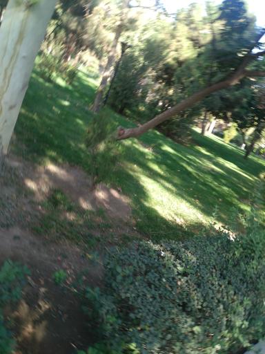 عکس دفتر ازدواج 31 مشهد