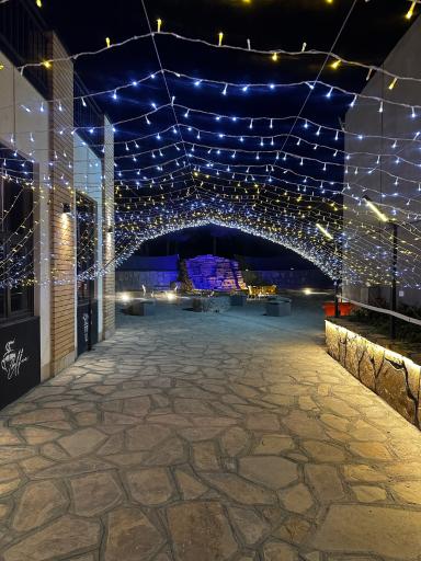 عکس کافه ژین