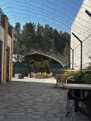 عکس کافه ژین