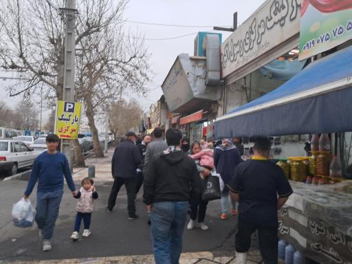 عکس قطب مرغ شهریار