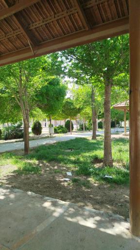 عکس پارک سلمان