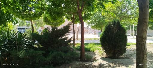 عکس پارک سلمان