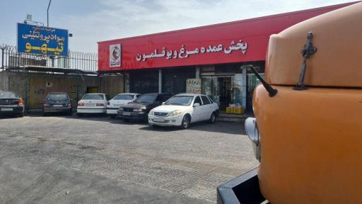 عکس قطب مرغ شهریار