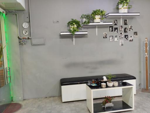 عکس پیرایش موکات