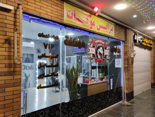 عکس پیرایش موکات