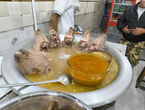 عکس طباخی بره سفید عمو جلیل 