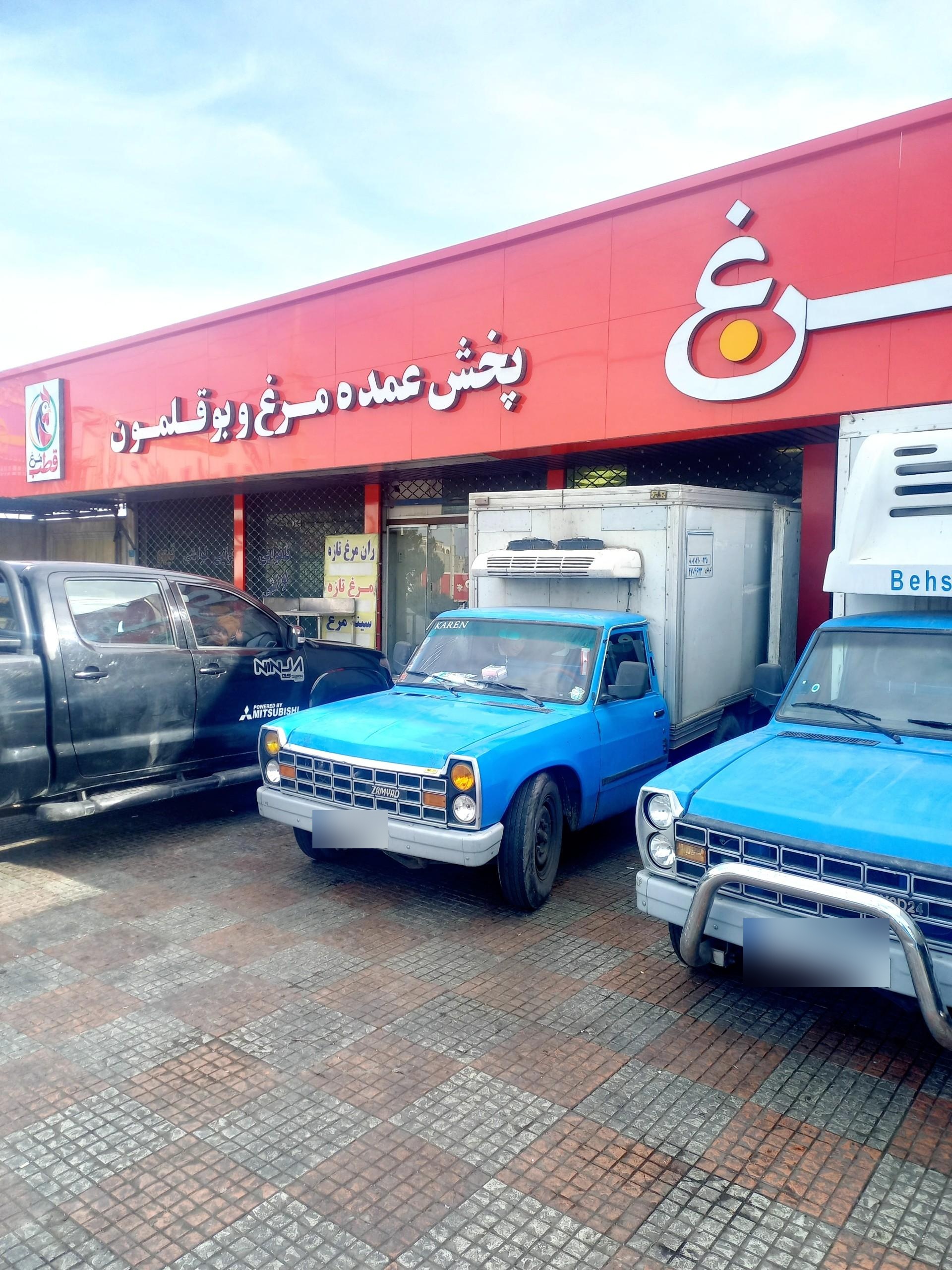 عکس قطب مرغ شهریار