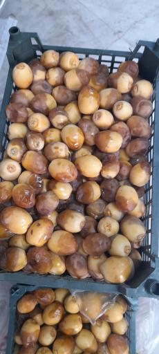 عکس عطاری صفائی 