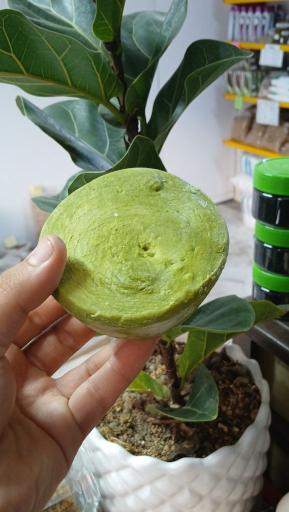 عکس عطاری صفائی 