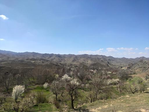 عکس افچنگ