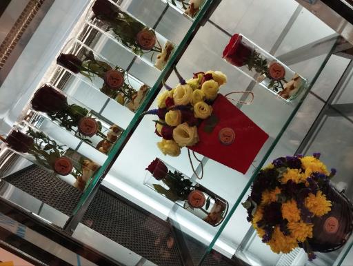 عکس کاملیا گل