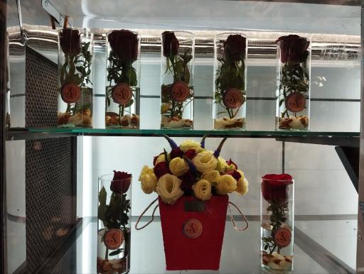 عکس کاملیا گل