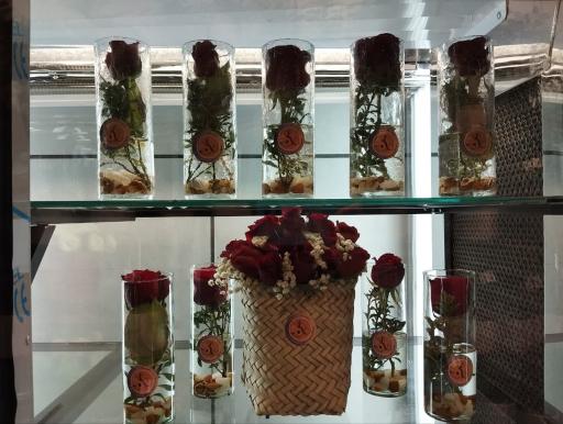 عکس کاملیا گل