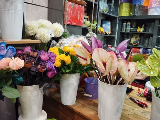 عکس کاملیا گل