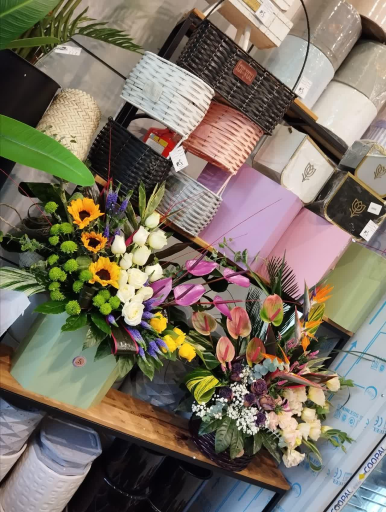 عکس کاملیا گل