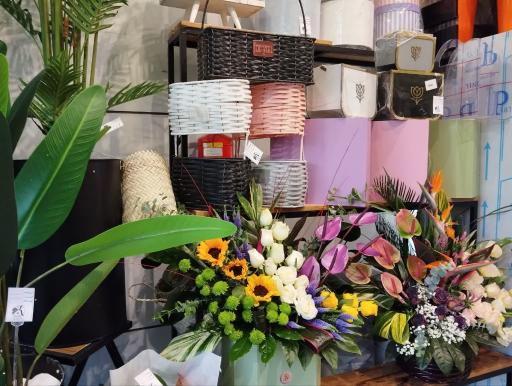 عکس کاملیا گل