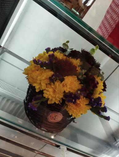 عکس کاملیا گل