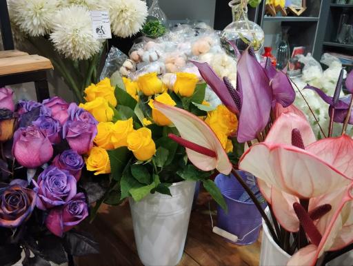 عکس کاملیا گل