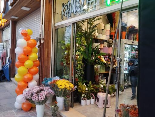 عکس کاملیا گل