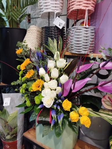 عکس کاملیا گل