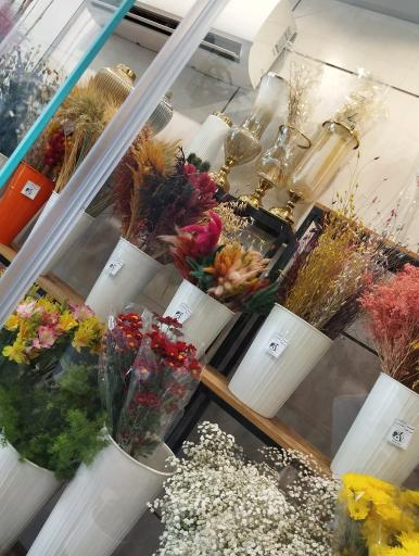 عکس کاملیا گل