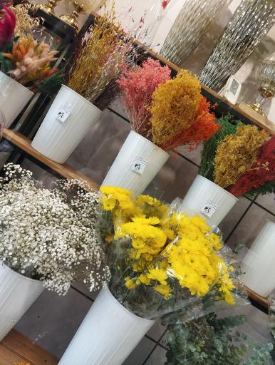 عکس کاملیا گل