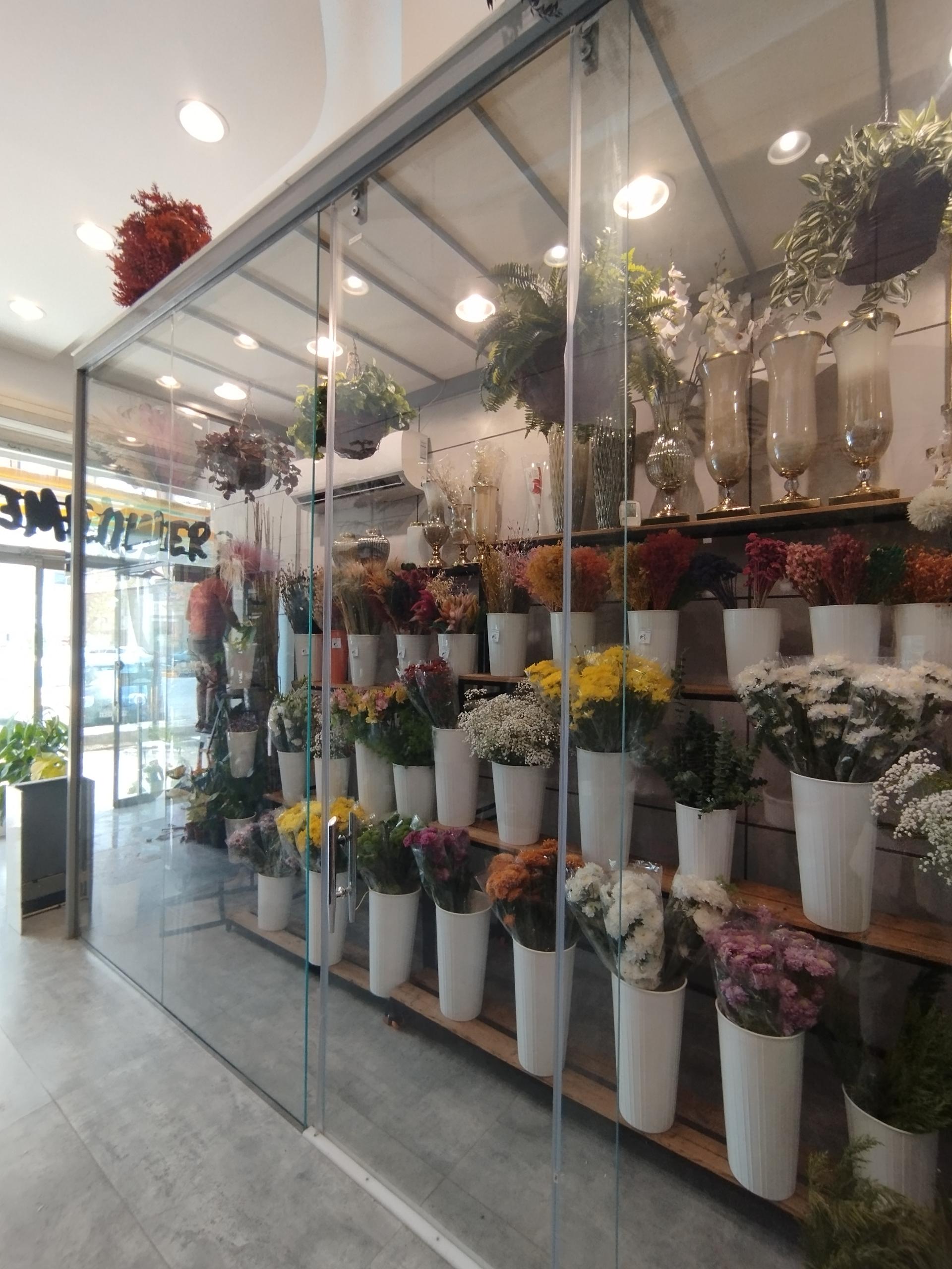 عکس کاملیا گل