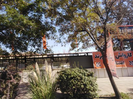 عکس کارواش برند