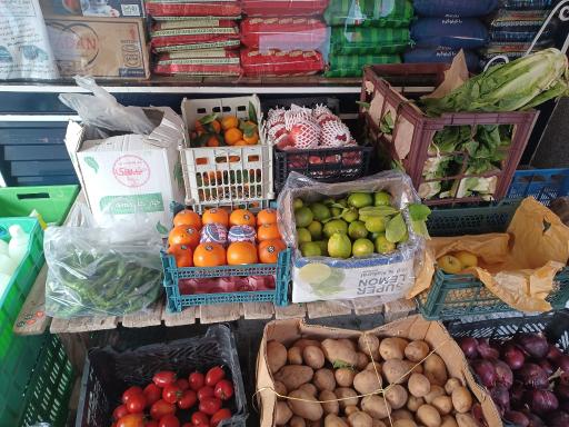 فروشگاه مواد غذایی فائو