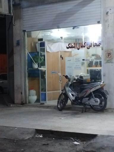 عکس صحافی کمال الملک
