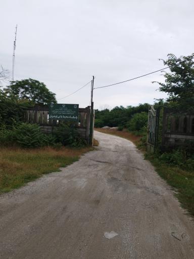 عکس محیط بانی لوندویل