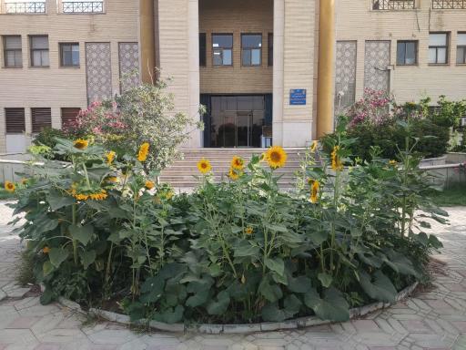 عکس اداره کل انتقال خون استان اصفهان 